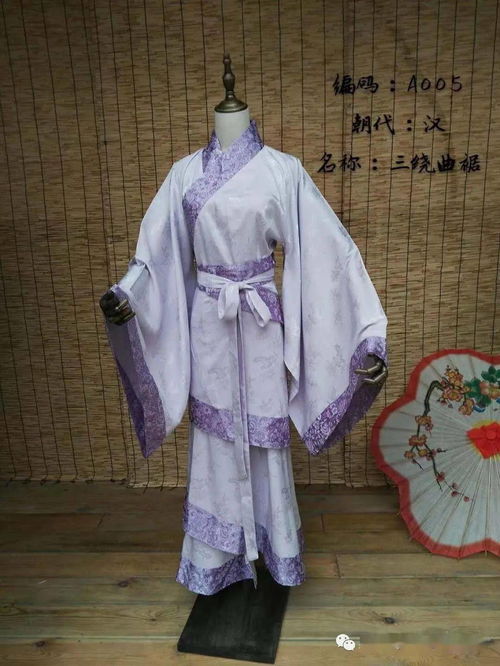 女子服饰的演变与多样性